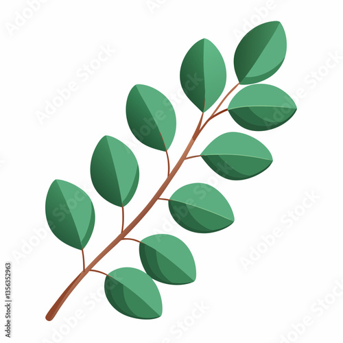 lush eucalyptus branch with rounded  aromatic leaves