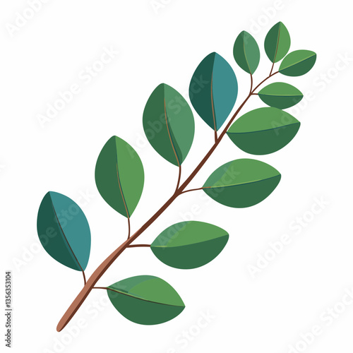 lush eucalyptus branch with rounded  aromatic leaves