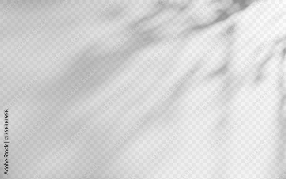 Obraz premium Abstract shadow overlay from foliage on a transparent background.