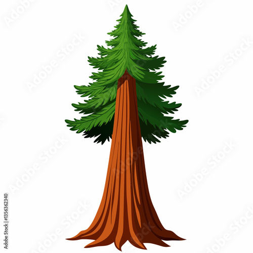 towering redwood tree with deeply grooved bark