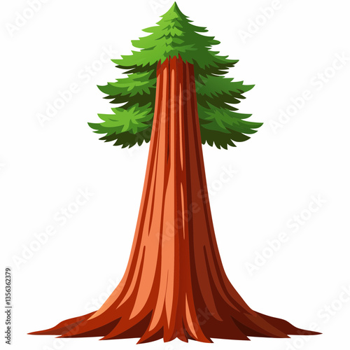 towering redwood tree with deeply grooved bark