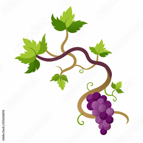 sprawling grapevine with twisting tendrils