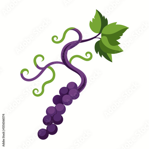 sprawling grapevine with twisting tendrils