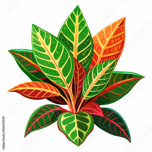 colorful croton plant with variegated foliage 