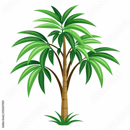 ornamental bamboo palm with arching green fronds