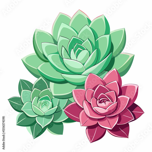hardy succulents with rosette shaped leaves
