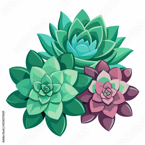hardy succulents with rosette shaped leaves