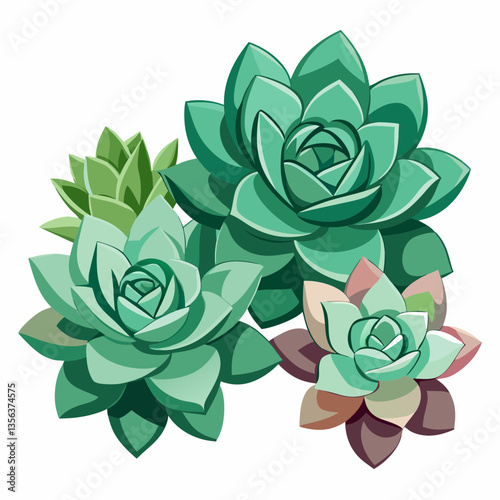 hardy succulents with rosette shaped leaves