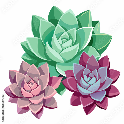 hardy succulents with rosette shaped leaves