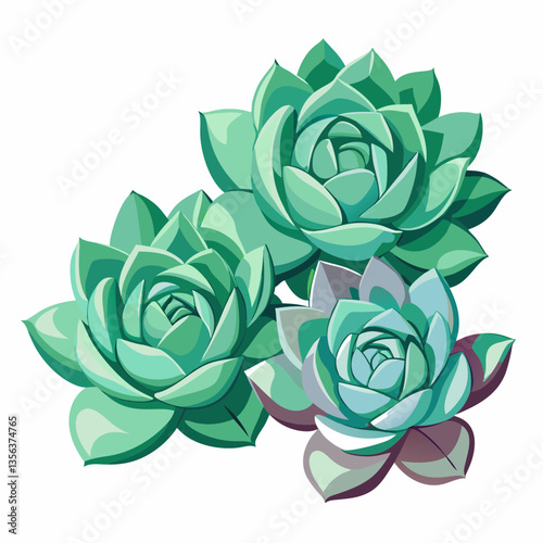 hardy succulents with rosette shaped leaves