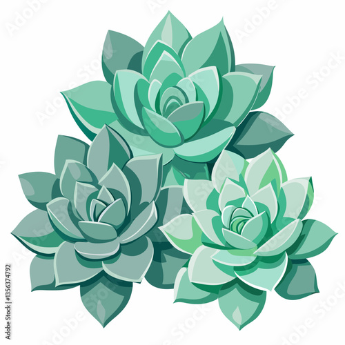 hardy succulents with rosette shaped leaves