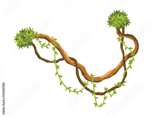 Liana branch. Twisted wild jungle vine plants. Woody natural tropical rainforest, exotic botany element. Vector design element