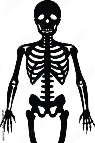 skeleton silhouette vector,Human skeleton clip art