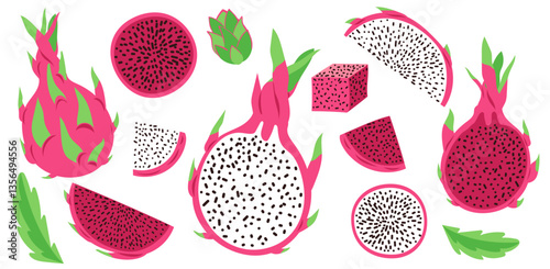 Dragon Fruit, Pitaya fruit, Pitahaya collection, exotic tropical. Vector flat illustrations set