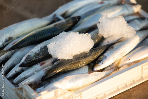 fresh fish catch of the day at the Mediterranean fish market
