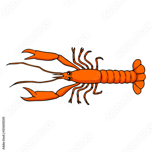 scampi vector illustration
