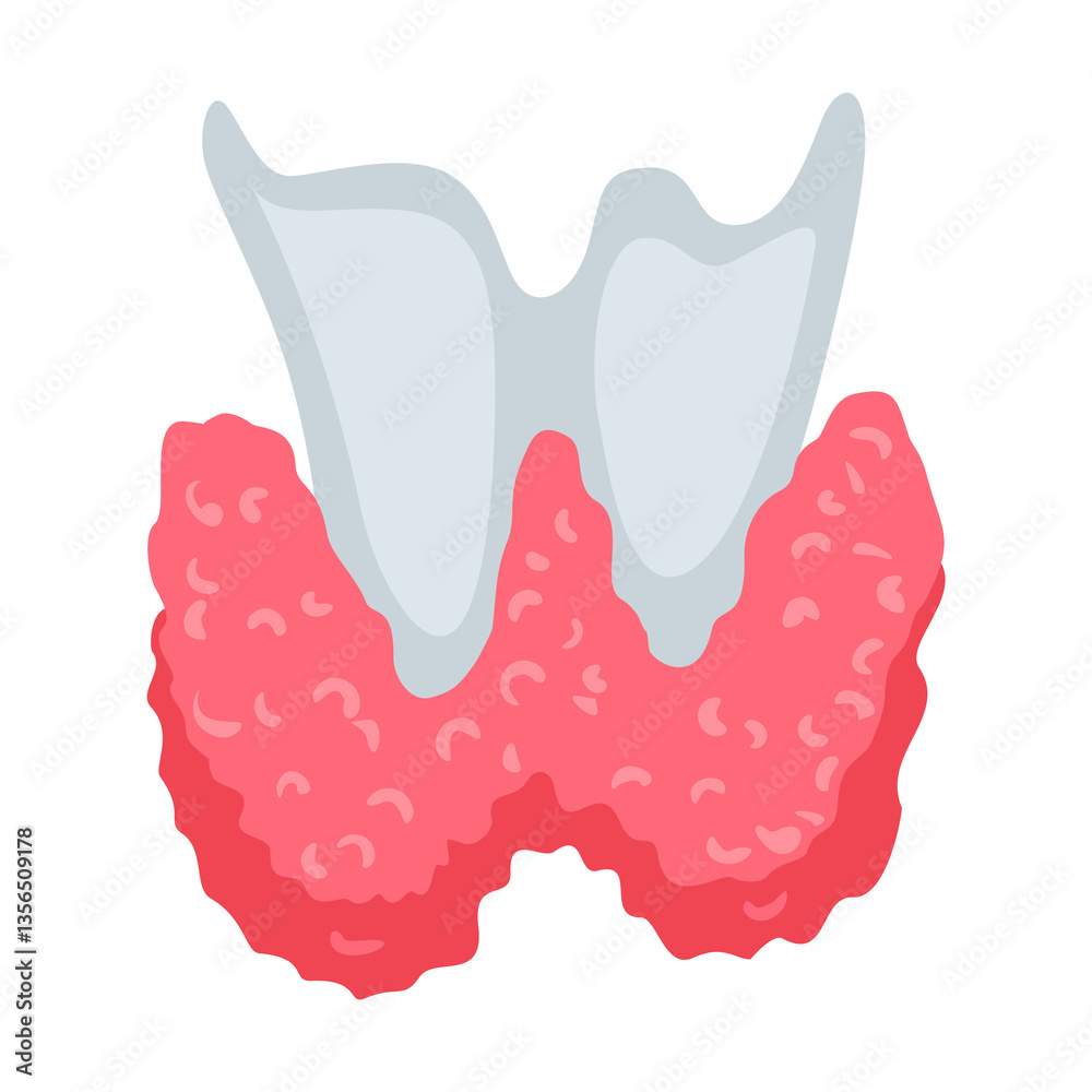 Internal human body organ - thyroid, info poster. Medical anatomy infographic element. Medicine concept, healthcare. illustration