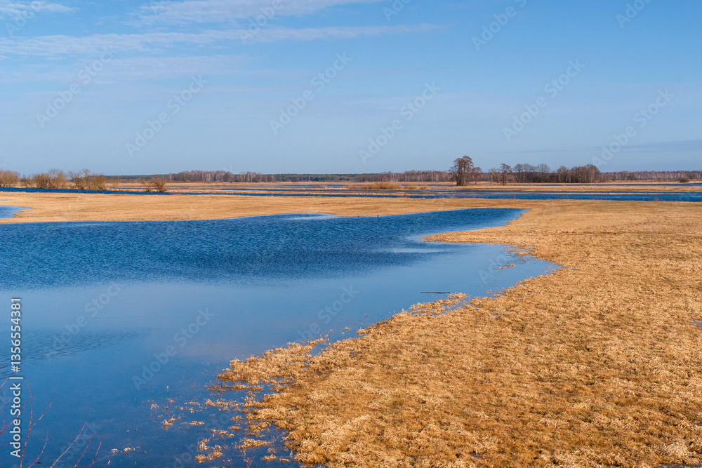 Wiosenne rozlewiska rzeki Narwi, Podlasie, Polska
