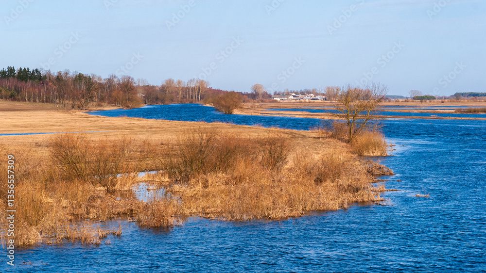 Wiosenne rozlewiska rzeki Narwi, Podlasie, Polska
