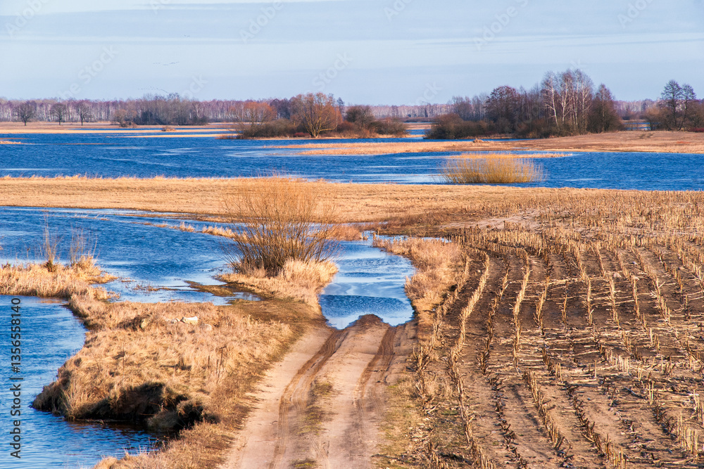 Wiosenne rozlewiska rzeki Narwi, Podlasie, Polska