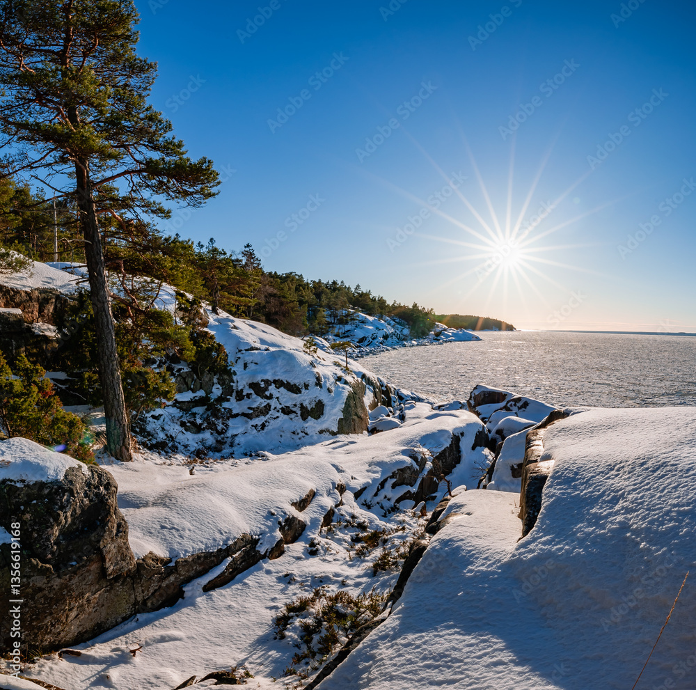 frozen sea in winter