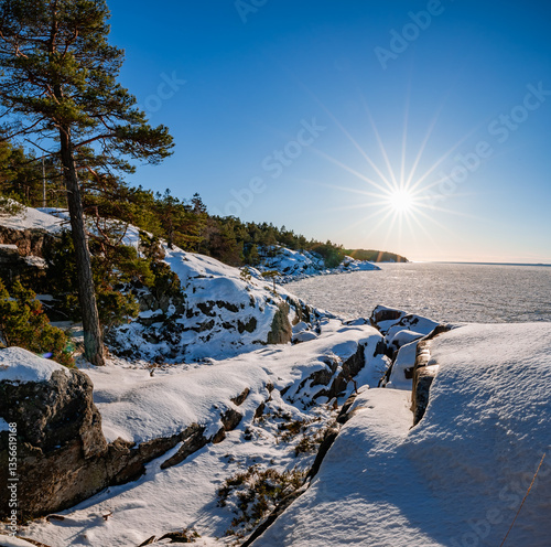 frozen sea in winter