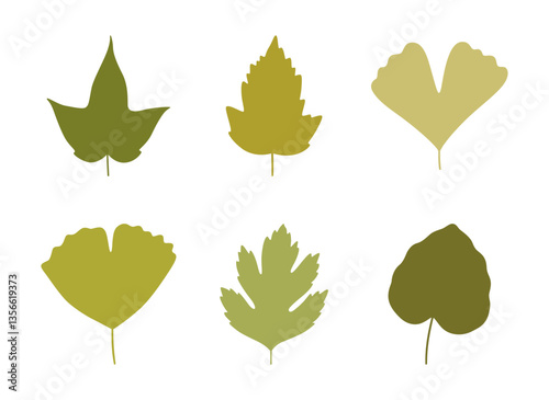 Set of silhouette spring leaves in green colors. Summer background, foliage of maple, ginkgo, aspen, and hawthorn, isolated on white. Leaf icons, vector illustration