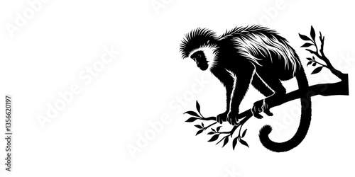 Photography vector illustration of a monkey
