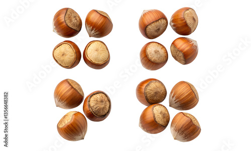 Wallpaper Mural Hazelnut isolated, Fresh nuts collection, Collection set of Hazelnuts isolated Torontodigital.ca