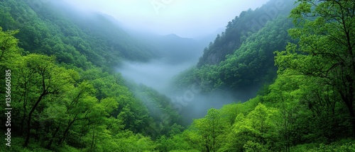 Lush Green Forest Valley Embraced by Ethereal Mist Serene Mountain Landscape with Vibrant Foliage and Tranquil Atmosphere Scenic Beauty