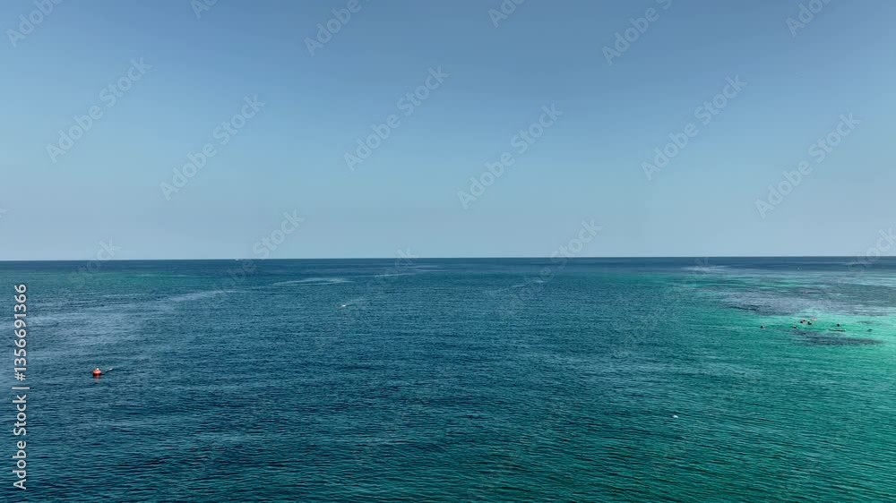 Aerail view of green forest and the sea. natural ecosystems of forests and oceans. concept of natural forest conservation Aerail view of green forest and the sea. natural ecosystems of forests and oceans. concept of natural forest conservation