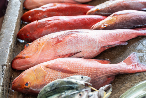 Variety of freshly caught tropical reef fish, including snapper and grouper photo