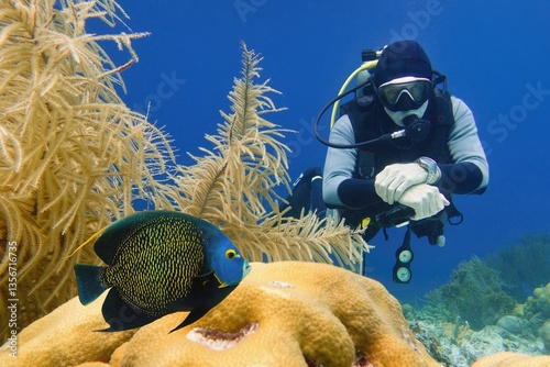Scuba diver near beautiful coral reef with French angelfish, Bonaire, Caribbean Netherlands