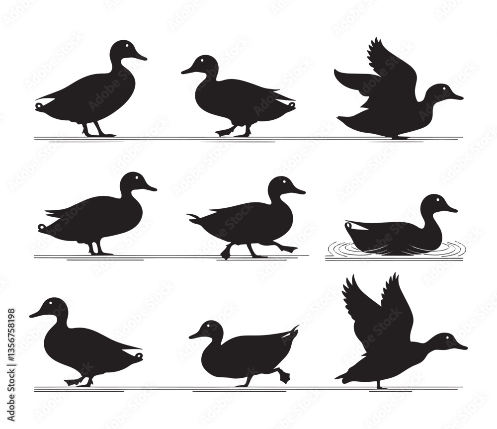 Obraz premium Group of wild animal duck silhouette vector