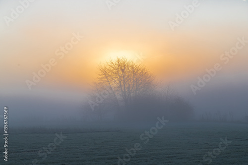 Sunrise over the rolling hills of the sint Pietersberg in Maastricht on a misty December morning, creating a fairy like landscape with the sun peaking through the fog