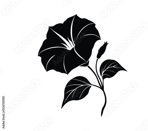 Morning glory  silhouette vector illustration