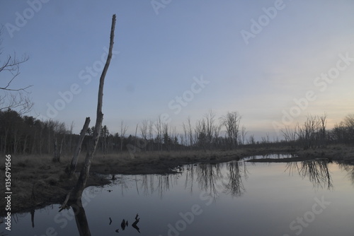 reflection in the water