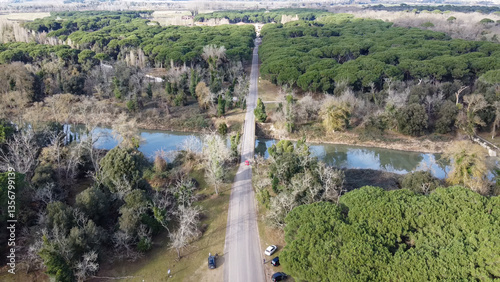 Obraz na płótnie Stunning drone shot of San Rossore Park in Pisa, featuring forests and winding rivers w salonie