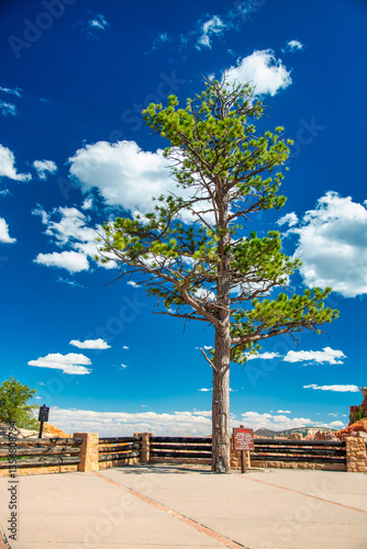 Obraz na płótnie Amazing landscape of Bryce Canyon National Park in summer season, Utah w salonie
