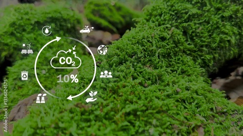 CO2 Reduction Strategies for a Sustainable World.