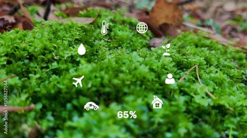 Carbon Net Zero concept 2050.Zero Waste and Carbon Reduction Initiatives.