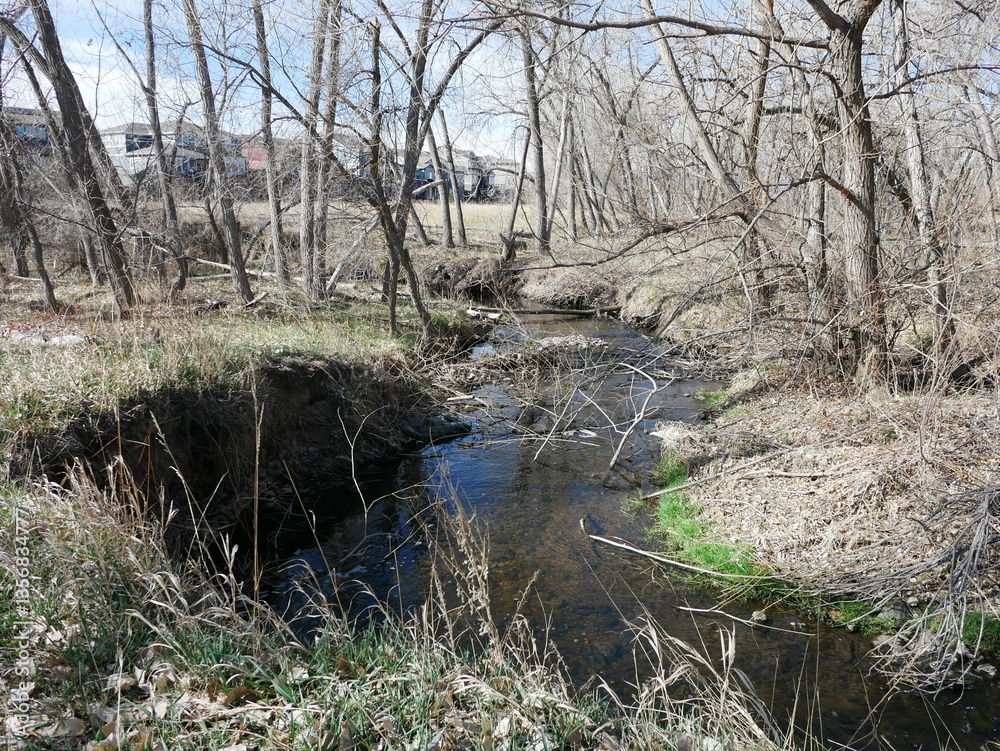 Trail along the creek in early spring, Colorado Trail along the creek in early spring, Colorado