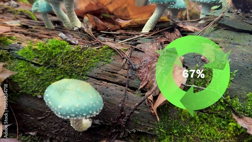Sustainability Countdown Carbon Reduction Concept.