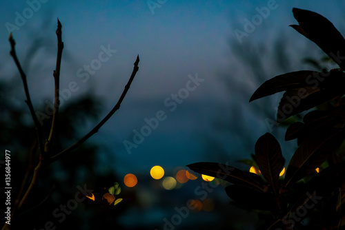 Moody Twilight with Bokeh City Lights and Silhouetted Branches..