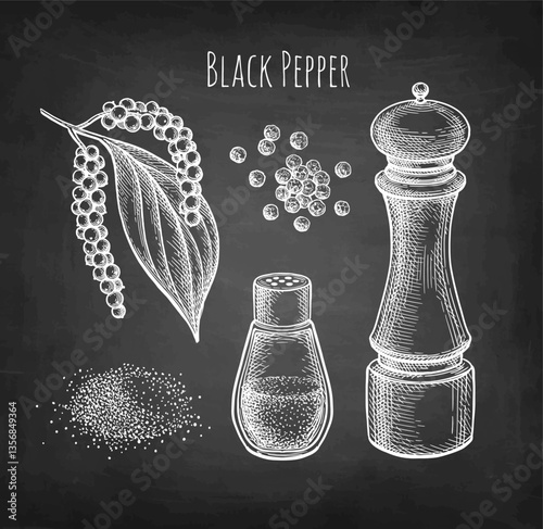 Set of chalk sketches of black pepper