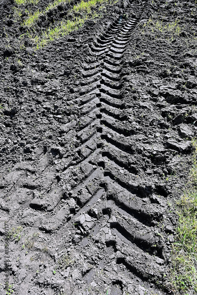 truck tire track in the mud of a cultivated field