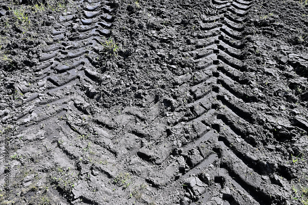 truck tire track in the mud of a cultivated field