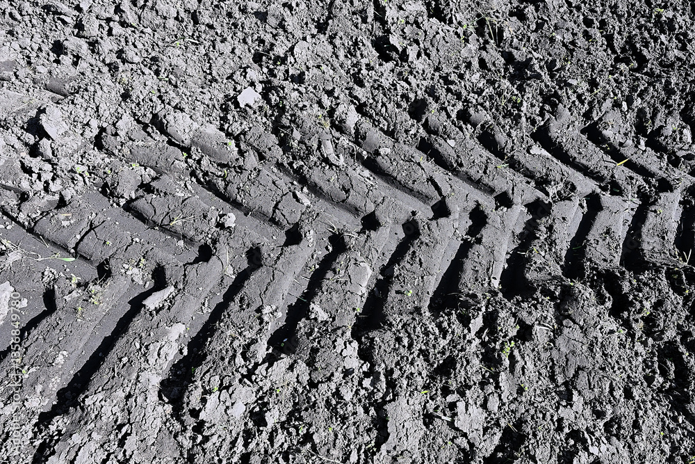 truck tire track in the mud of a cultivated field