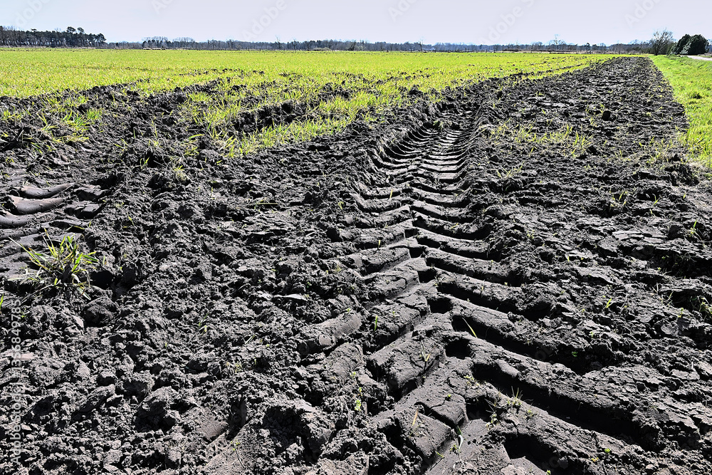 truck tire track in the mud of a cultivated field