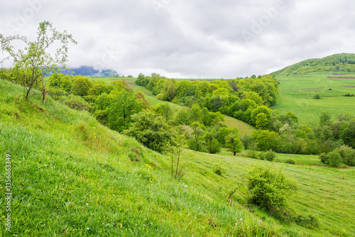 Obraz na płótnie mountainous countryside in spring. outdoor adventure. cloudy weather. wet grass on the hills. trees with lush foliage. carpathian mountain vista w salonie